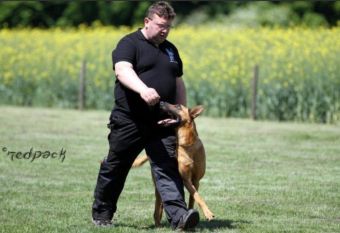 Rudolf Bröhl-Heiligenberg