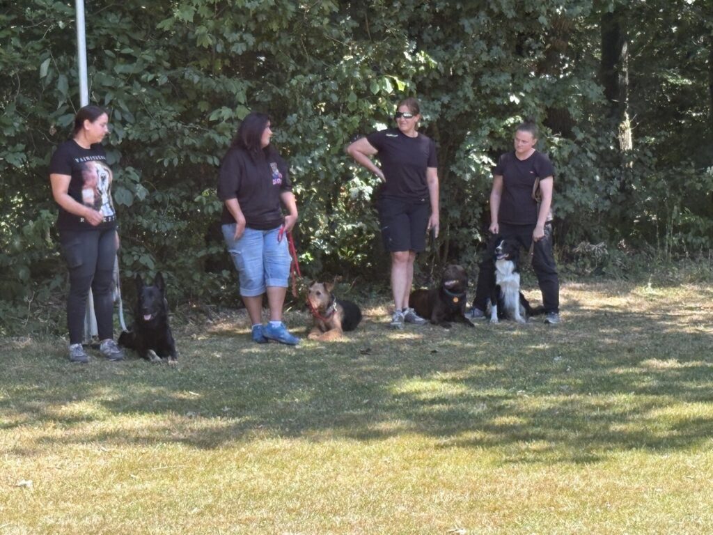 Hundeteams des HSV Düngenheim in der Unterordnung beim IBGH-Pokalkampf